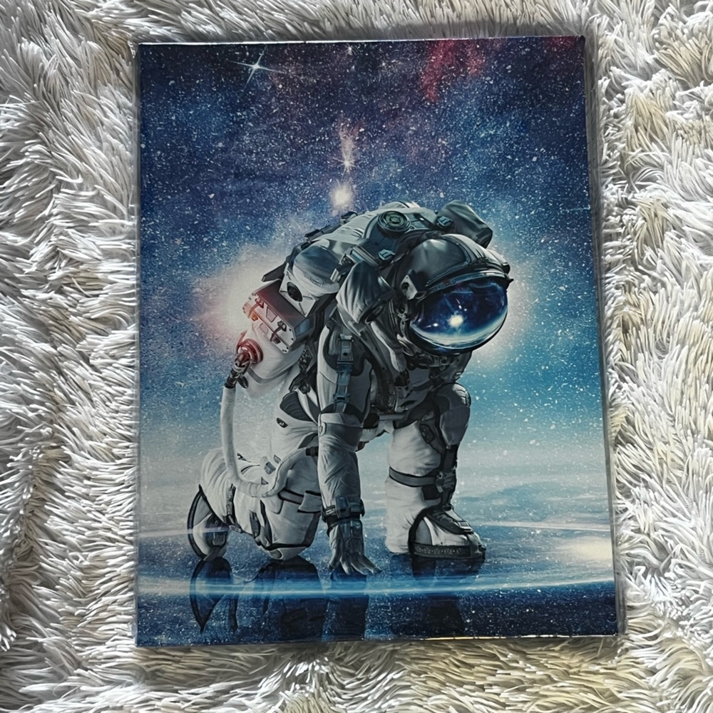 Set Of 3 Astronaut Canva